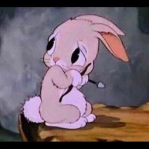 Meet your Posher, Rain